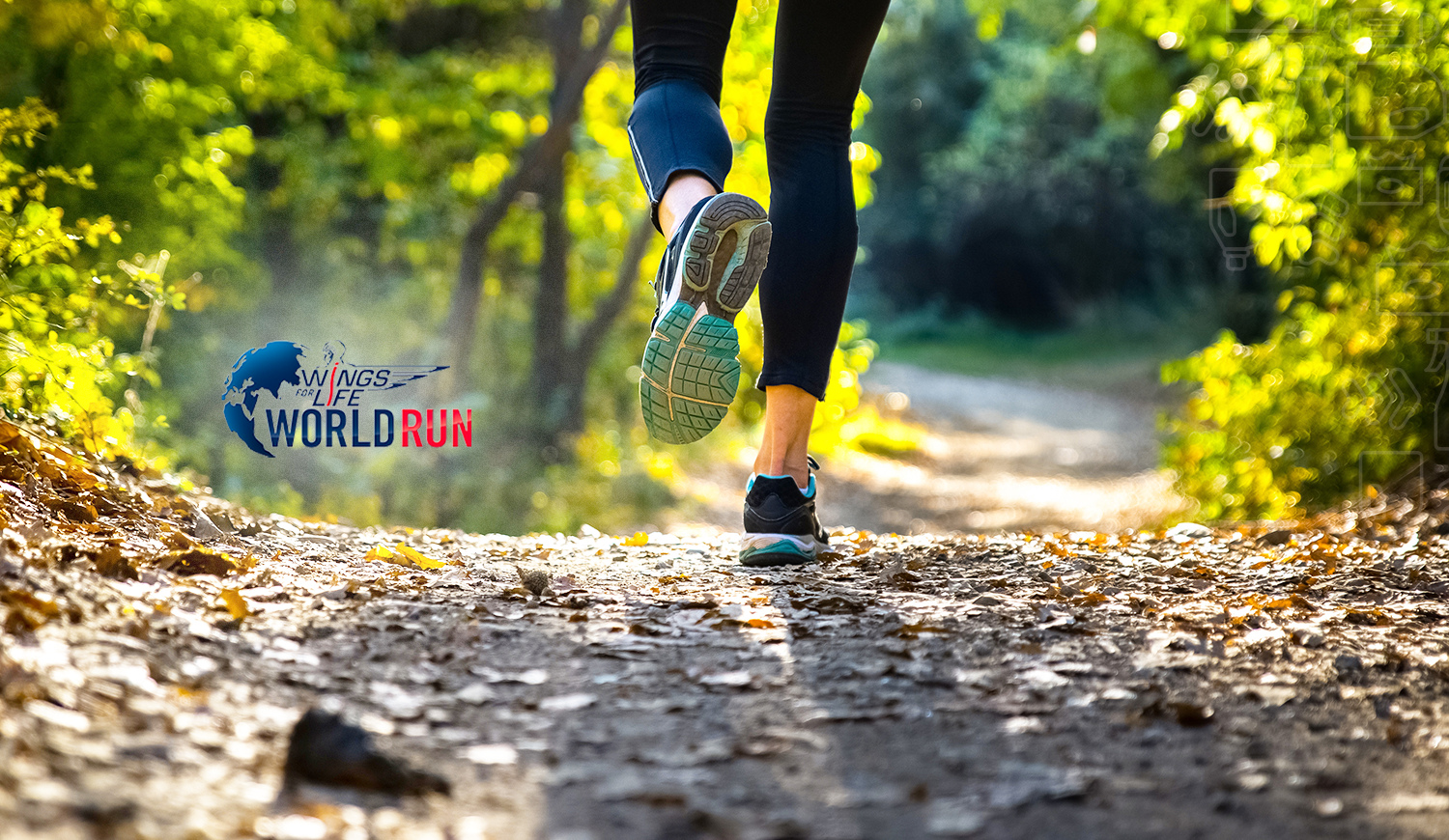 Wings For Life World Run - A New Record!